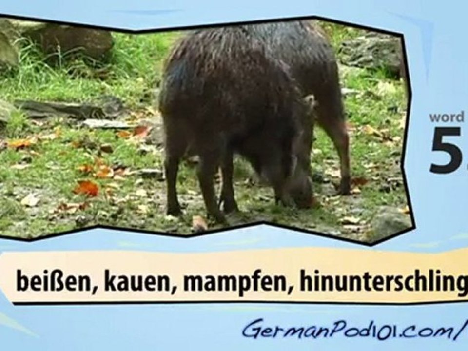 Learn German-Learn with jungle animas video