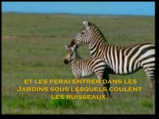 Excellente lecture - Magnifiques versets