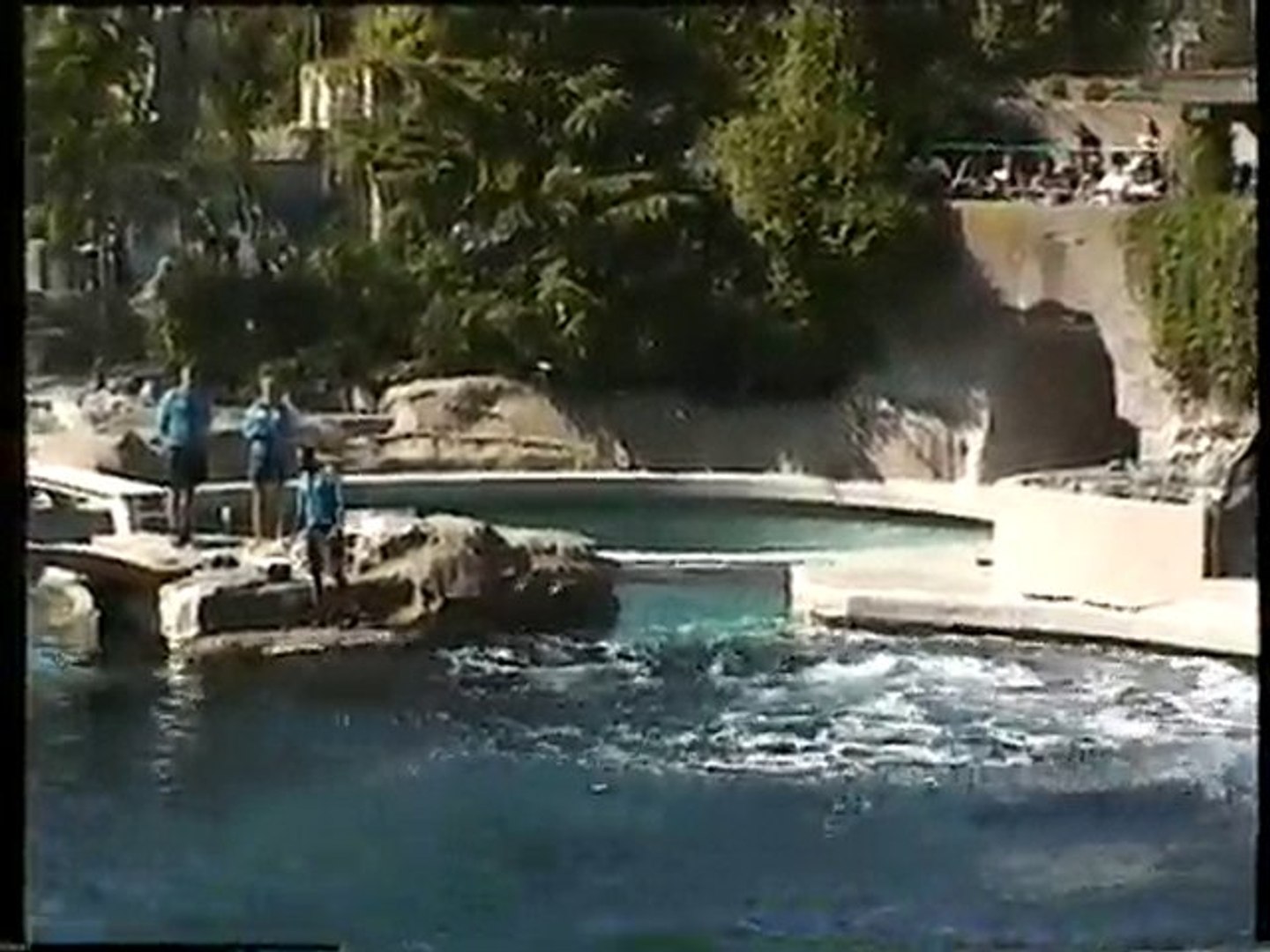 ⁣Vancouver Aquarium