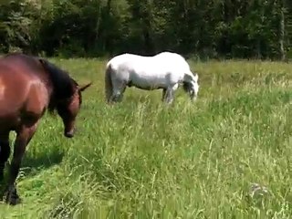 paso et moi balade 18mai10