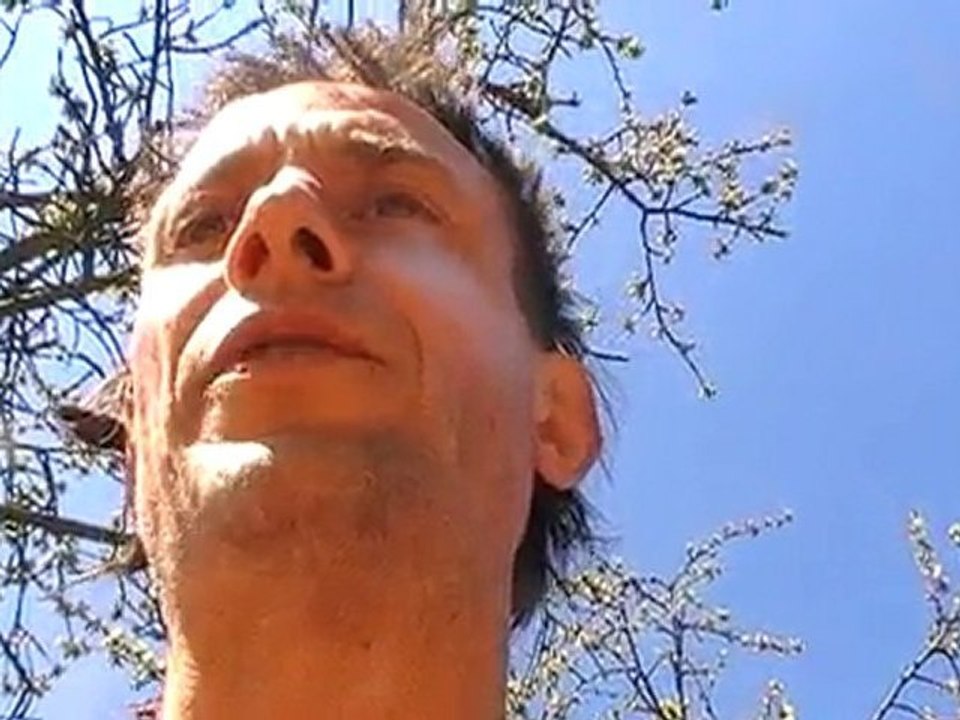 Emma Jung ~*~ Animus & Anima ~*~