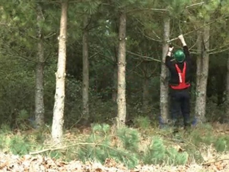 Infaco - Electronic pruning shears F3010 in Parklands EN