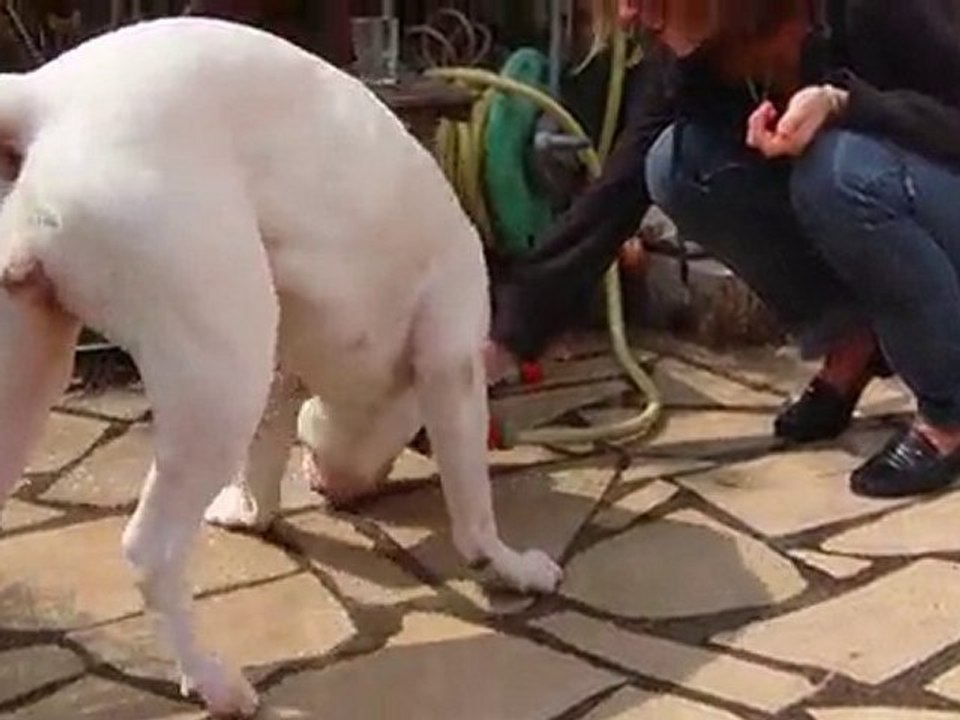 Toujours aussi passionnant le tuyau d'arrosage