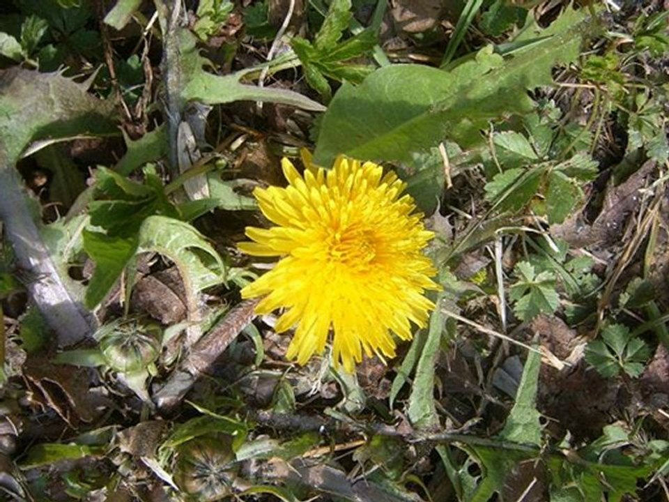 afilli yalnızlık emre aydın