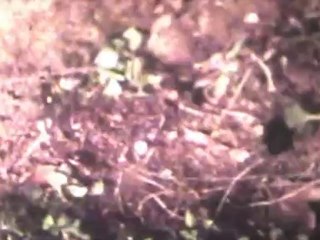 "LA GROTTE DU FUTUR".Printemps 1983.Périgord Noir