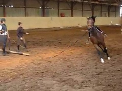 Top Model debourrage en longe 20100519 02