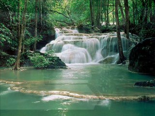 İRFAN KILIÇ-ayvaz güzellemesi