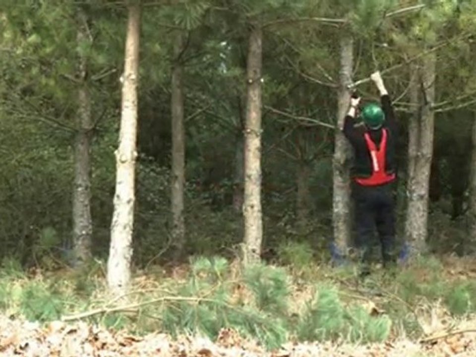 Infaco - Elektronische Astschere F3010 für Grünanlagen DE