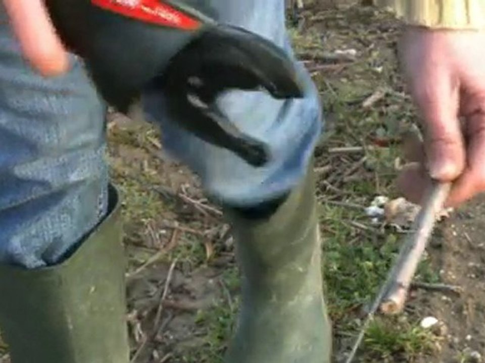 Infaco - Legatrice elettrica A3M v2 IT