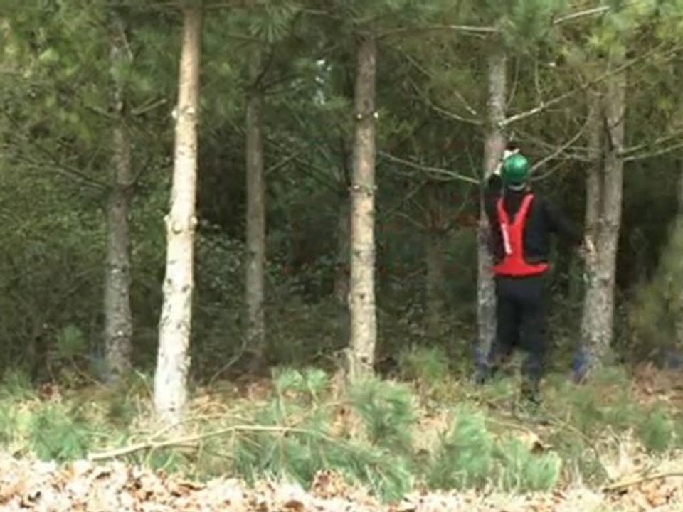 Infaco - Tesoura de podar electrónica F3010 em espaços PT