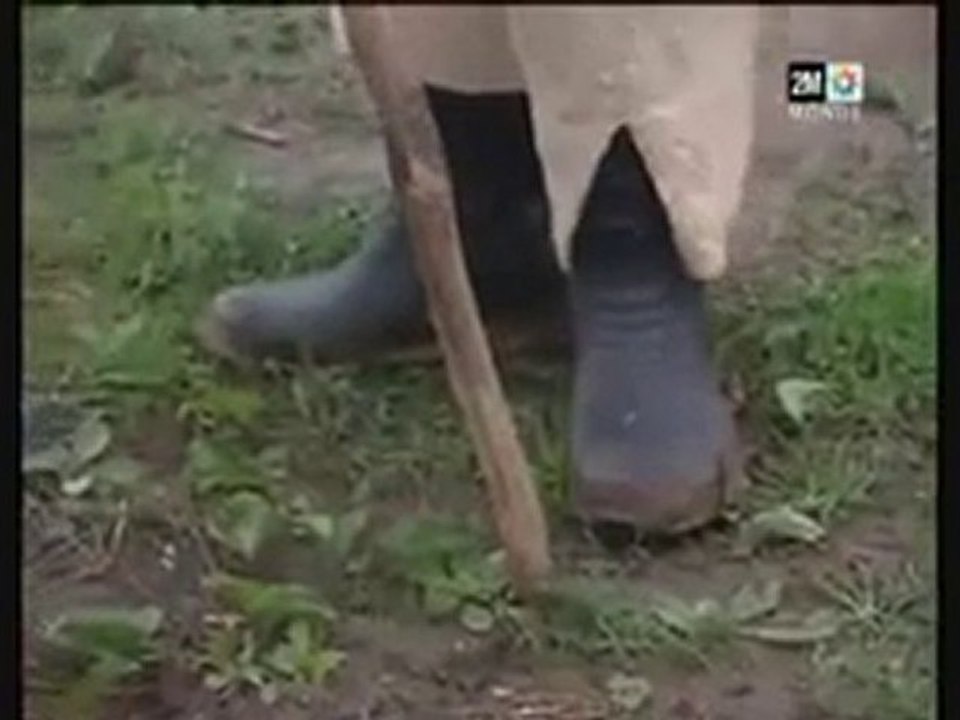 Pétrole du Maroc : Un arc-en-ciel ou mirage au fil des temps-Bouzalmat Omar