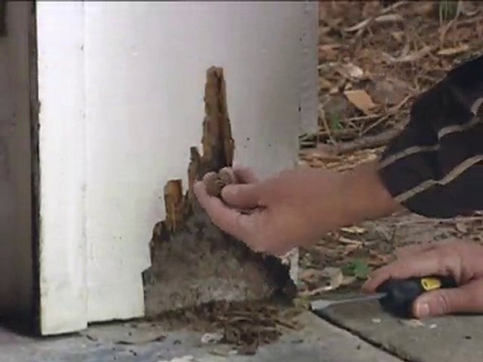 Home Inspection Colorado Springs - A Pro Home Inspections