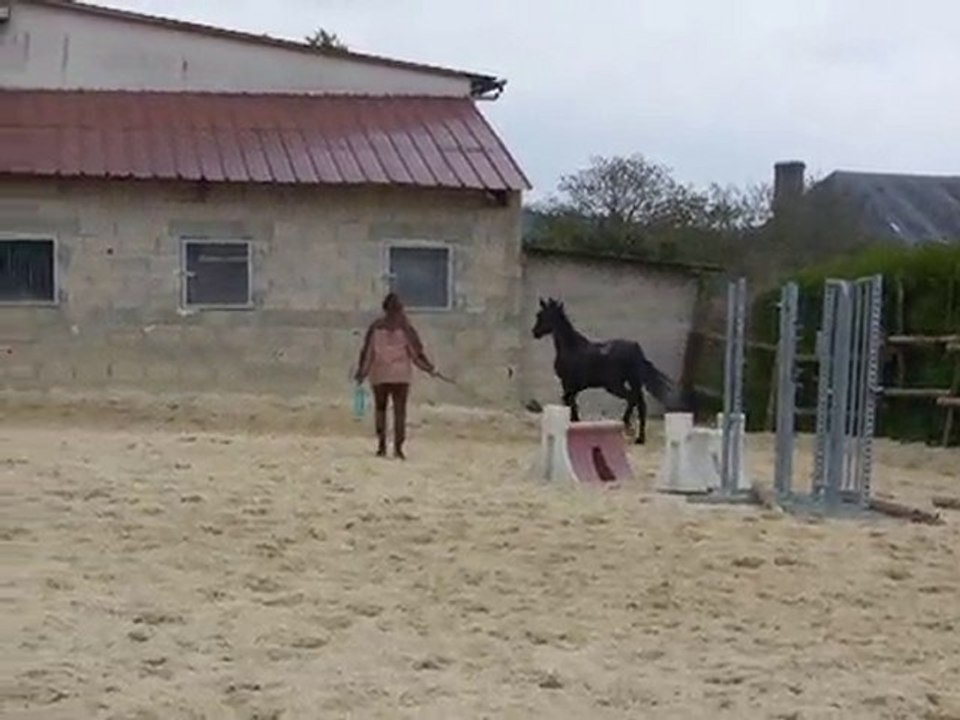 bueno#2