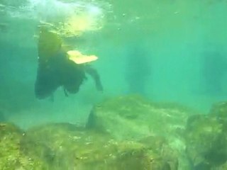 plongée tossa max , dam , thomas vacance barcelone