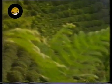 Emin Yağcı - Ula Ula Niyazi