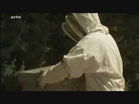 Disparition des abeilles = Danger pour l'homme 2/5