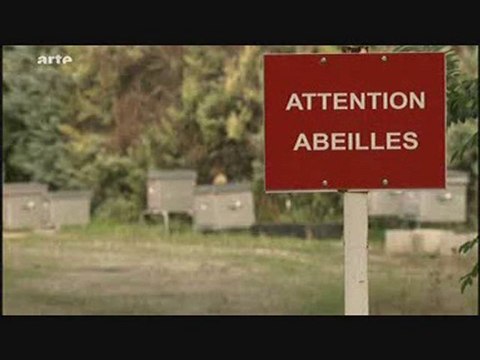 Disparition des abeilles = Danger pour l'homme 3/5