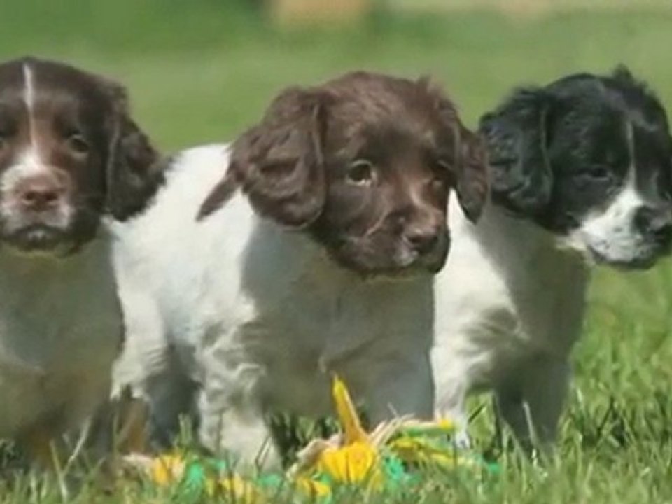 Korn Og Foderstoffer Sjælland Lynge Brogaarden Korn & ...