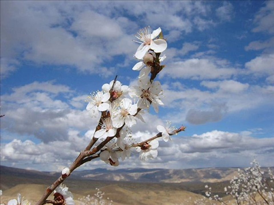 hasretinden prangalar eskittim ahmed arif