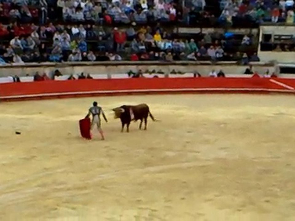 6e toro de Castella seul pour Haïti