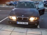 BMW 530 D Pitbull-Feels Good.wmv