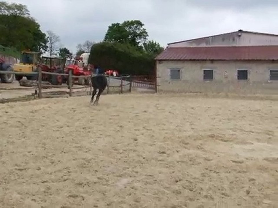 bueno#3