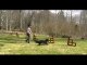 agility video march-april  2010