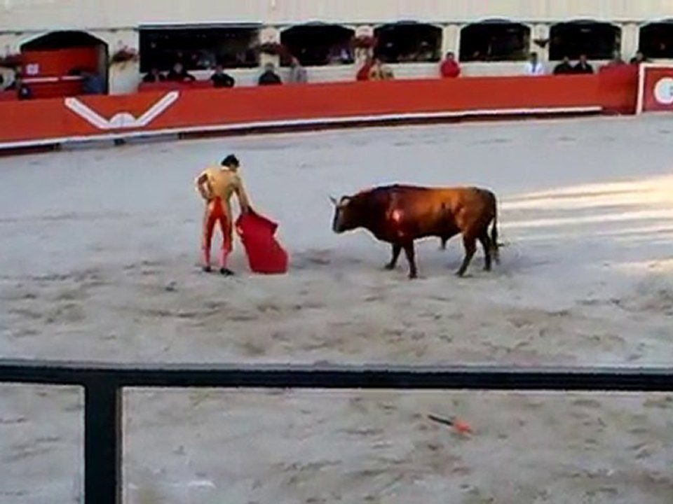 Alès 2010: Julien Miletto à son 2d Baltazar Iban