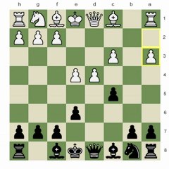 Chess.com - Live Sessions; Lessons on Simple Chess