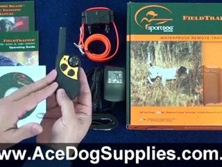 Remote Trainer Review - SportDog SD-400
