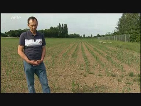 Disparition des abeilles = Danger pour l'homme 4/5