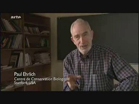 Disparition des abeilles = Danger pour l'homme 5/5