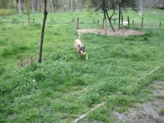 Vénus saute un banc du Bois de Boulogne 75016