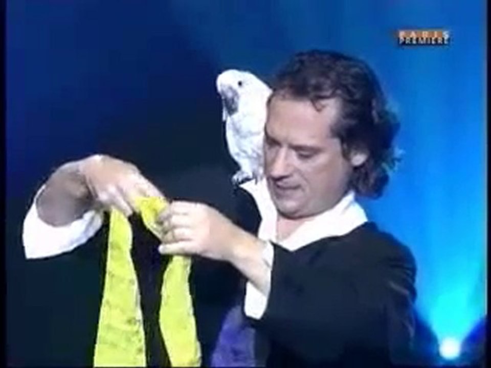 ARNO's bird act