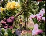 Diem Mat Hoa Vien - Lam Y Than - Xem Video clip - Zing Mp3