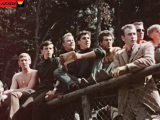 50 AÑOS ON BOARD F1 PART 1