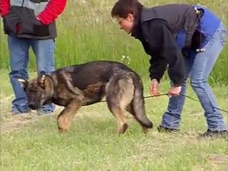 julca anrebri : piste du 15 mai 2010