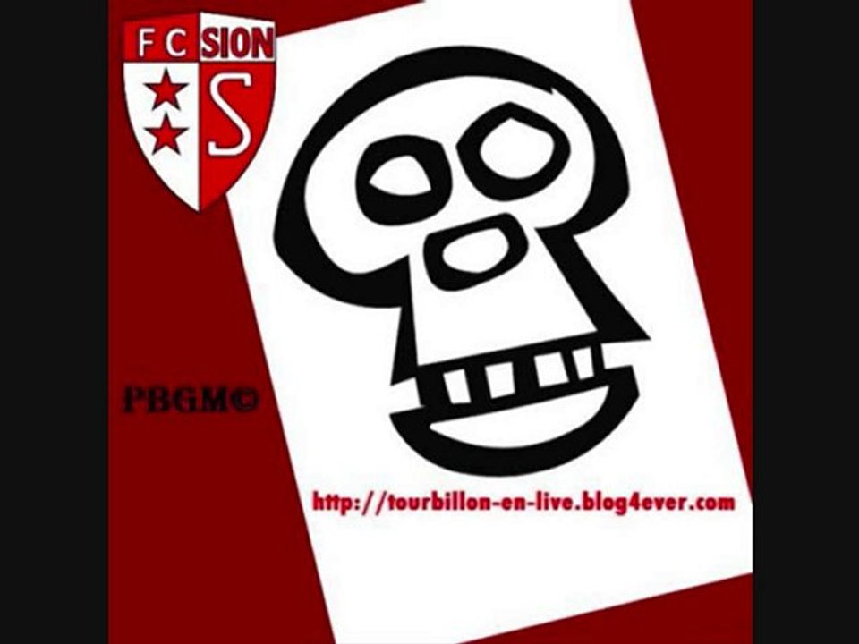 Sion-ST Gall 1-0