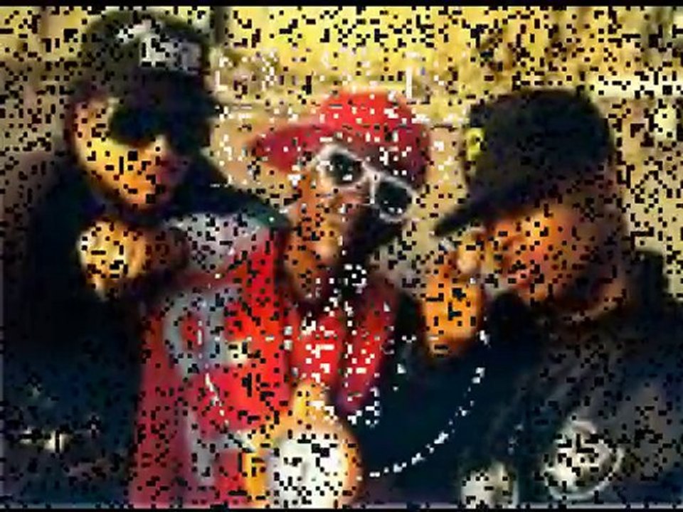 Public Enemy Remix - Fx ProjeKt - Bring Da Noise