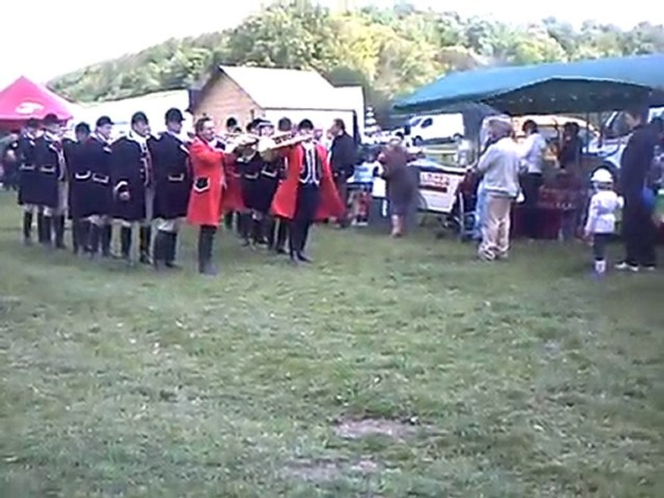 Photo 534