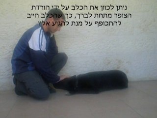 לימוד הפקודה ארצה