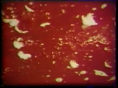 Les Paysans Bonus 6/9 Poulet PAC