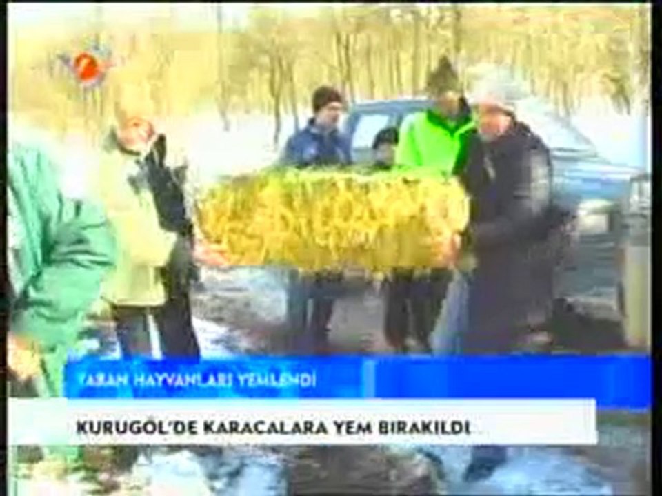 Kurugol de Yemleme 02.02.2008 (Duzce TV)