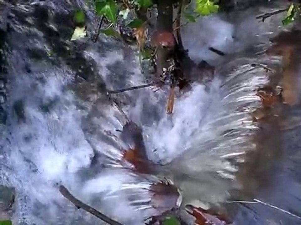 Chant du ruisseau