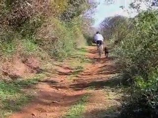 Kauai Hike – Moalepe Trail