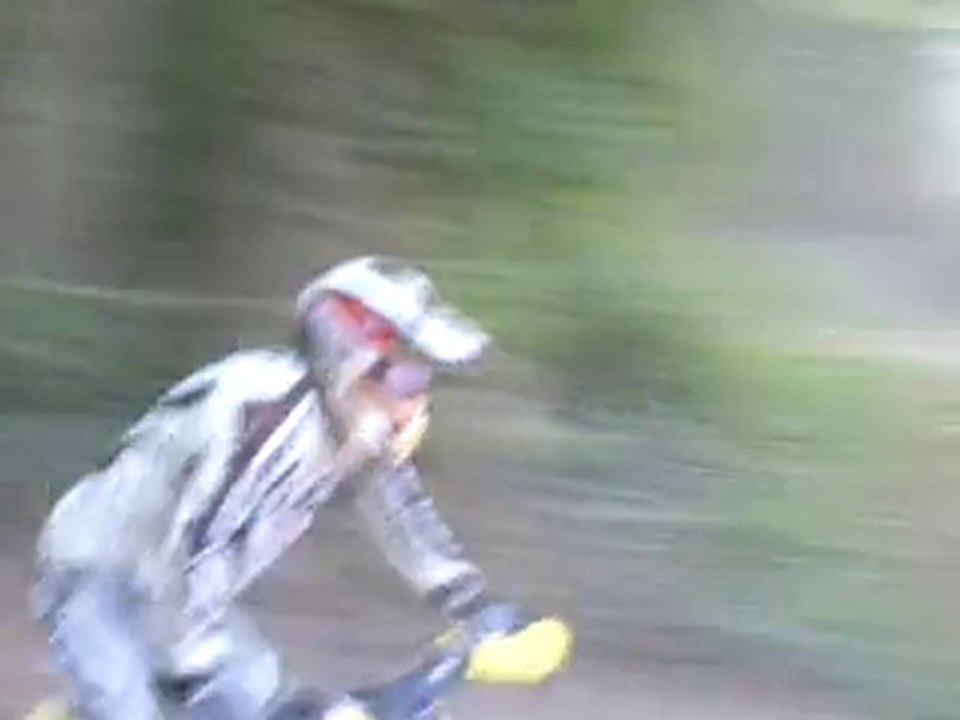 bové9