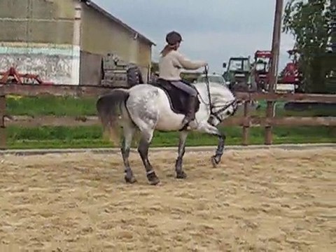 diego mars 2010 mimi mai 2010 034