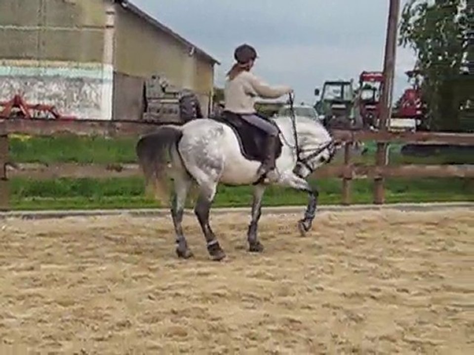 diego mars 2010 mimi mai 2010 034