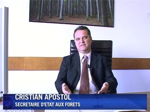 Les forêts roumaines menacées par les coupes sauvages