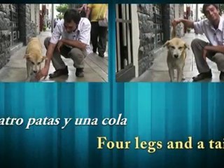 Beginner Spanish Video Lesson